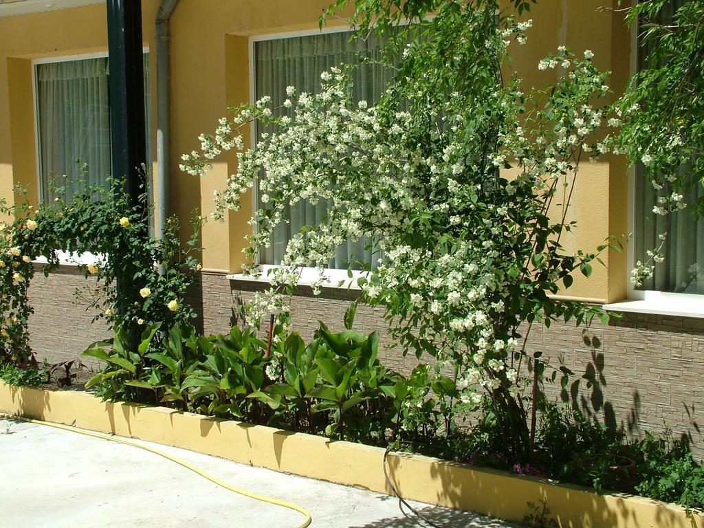 Hotel Rio Piscina Priego de Córdoba Eksteriør bilde